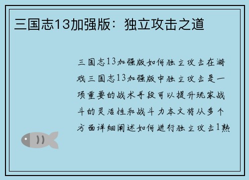 三国志13加强版：独立攻击之道